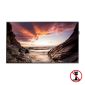 Samsung PM32F - 32 tommer - 1920x1080 - 2x DP - 2x HDMI - DVI - Sort - Uden stativ